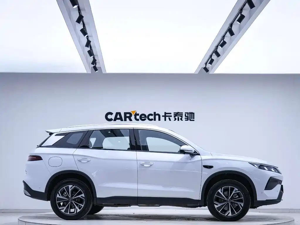 BYD Pro New Energy 2025 — фото 3