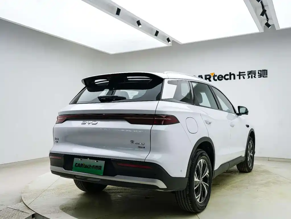 BYD Pro New Energy 2025 — фото 18