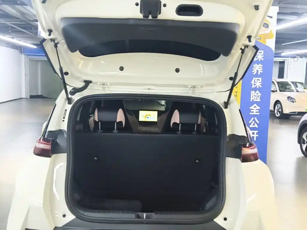BYD Seagull 2025 — фото 19