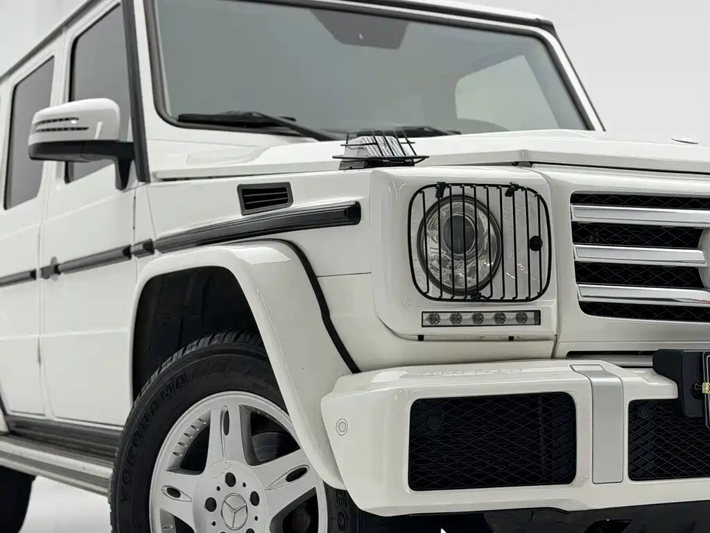 Mercedes-Benz G-Class 2018 — фото 16