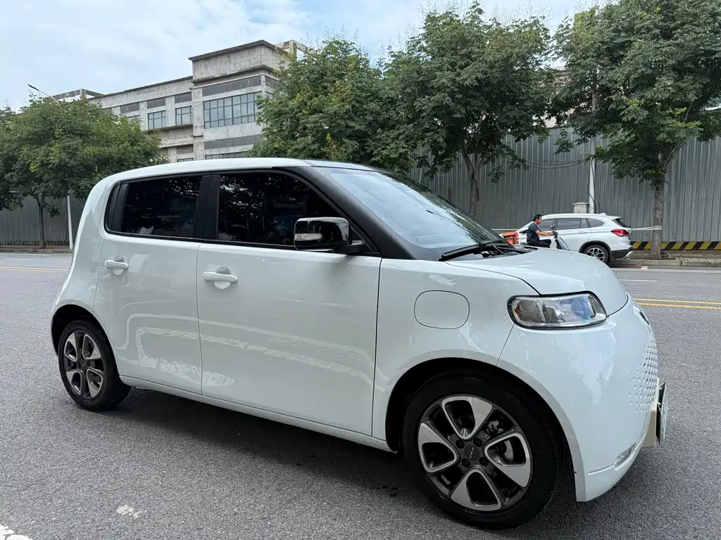 Ora White Cat 2021