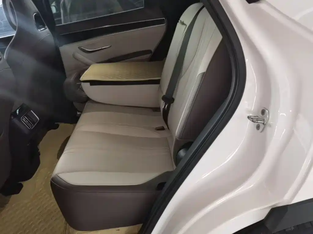 BYD PLUS New Energy 2025 — фото 17