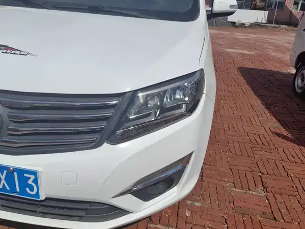 Dongfeng Fengxing S500 2018