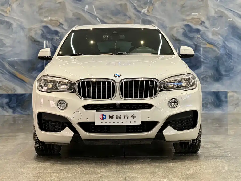 BMW X6 2017 — фото 2