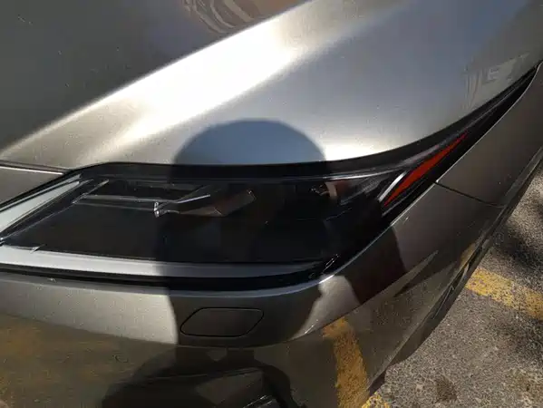 Lexus RX 2021