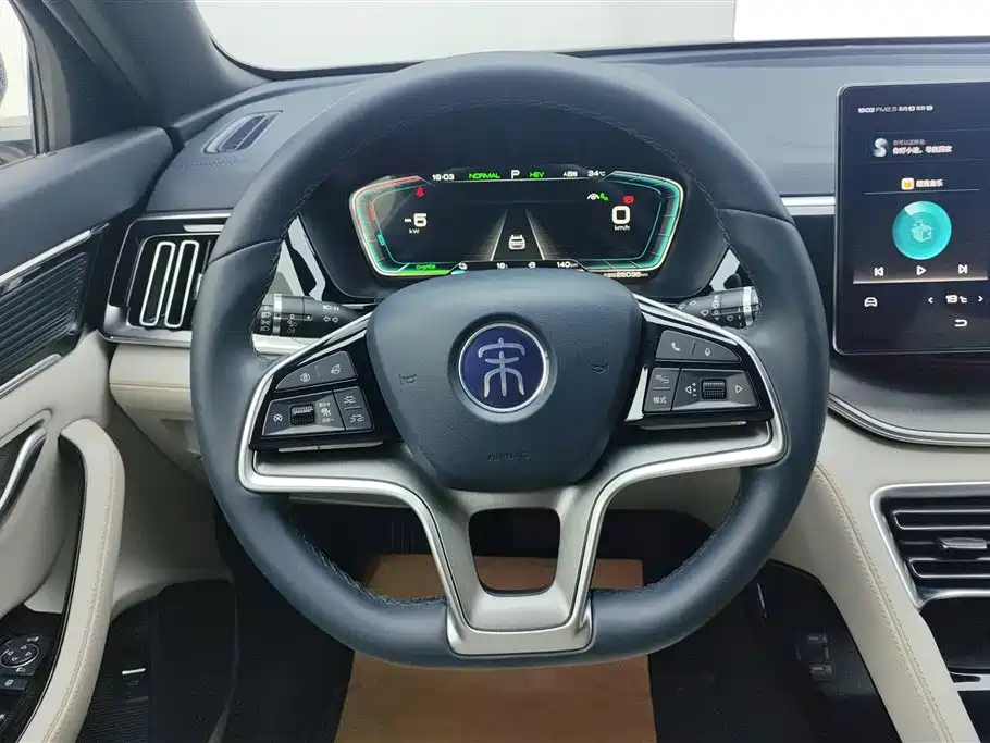 BYD PLUS New Energy 2023 — фото 15
