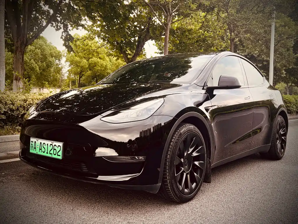 Tesla Model Y 2021 — фото 2