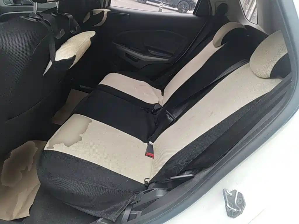 Ford EcoSport 2017 — фото 17