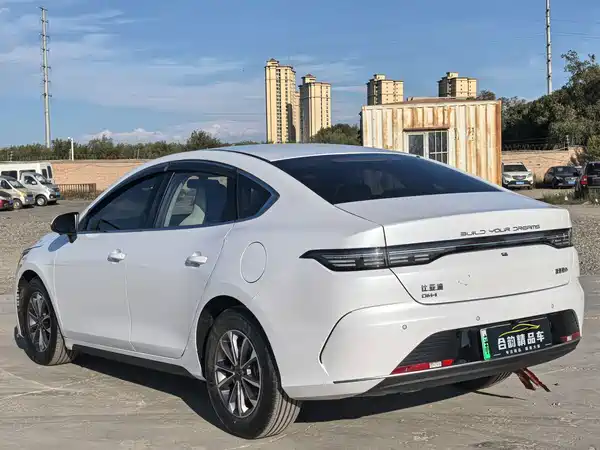 BYD Destroyer 05 2024