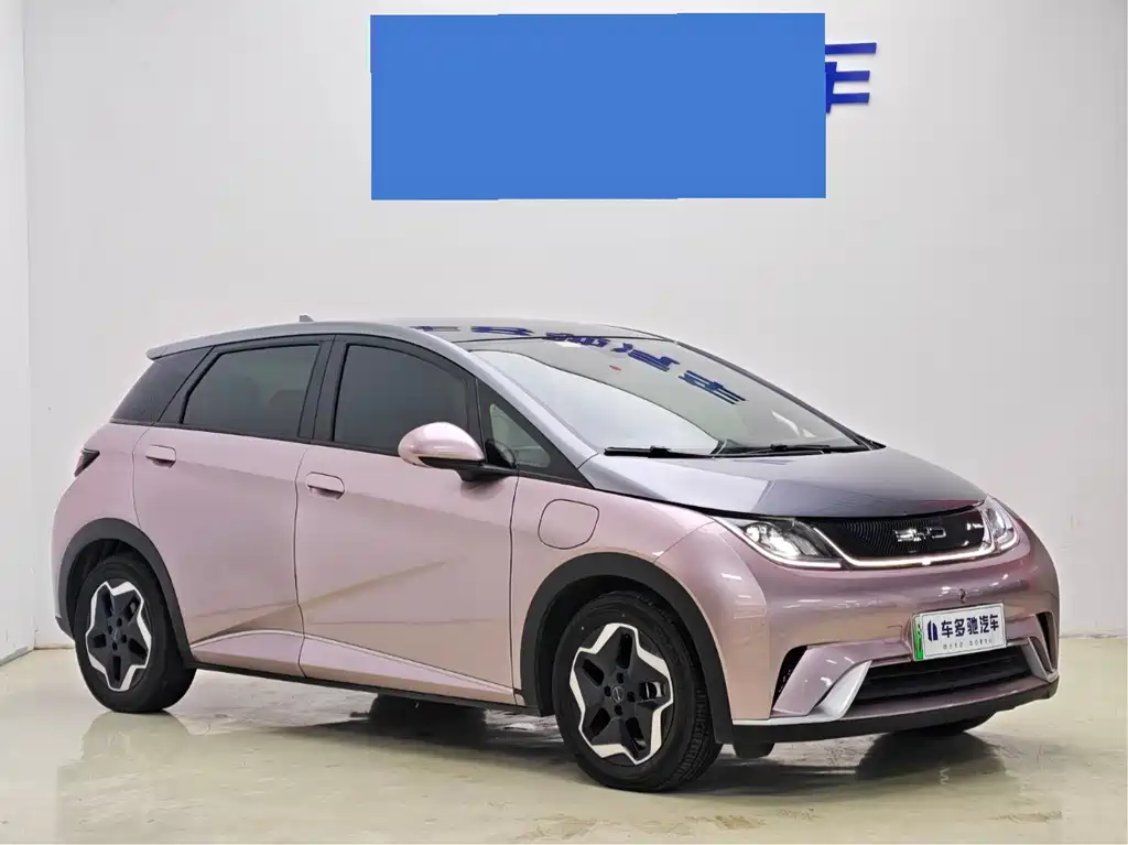 BYD Dolphin 2022