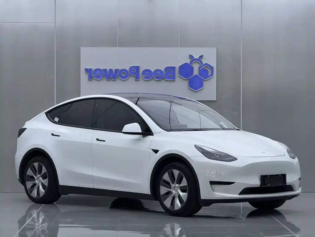 Tesla Model Y 2022 — фото 2