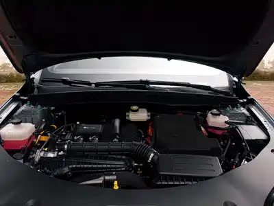 BYD Qin PLUS 2024