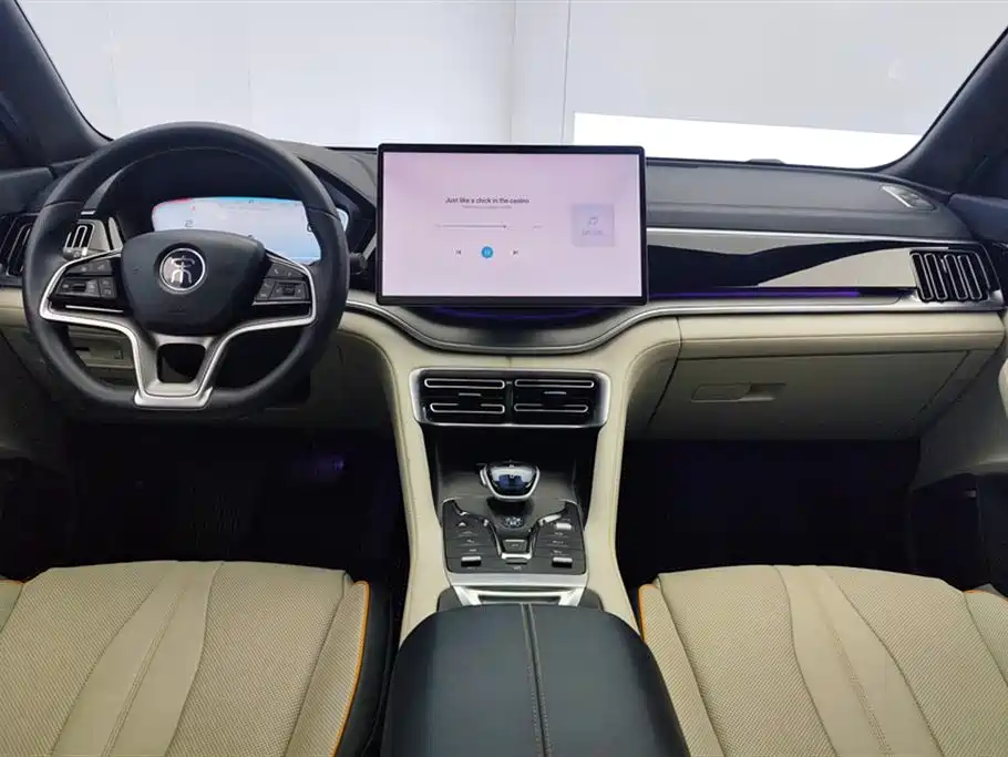 BYD PLUS New Energy 2022 — фото 12