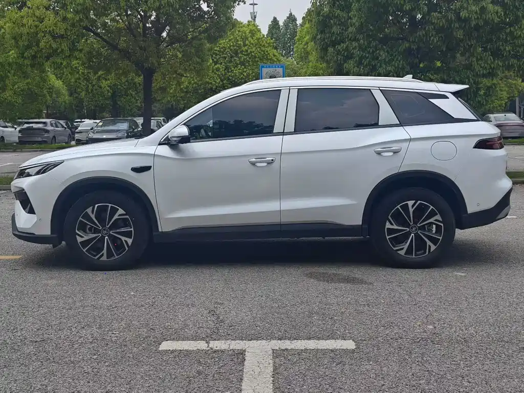 BYD Pro New Energy 2025 — фото 3