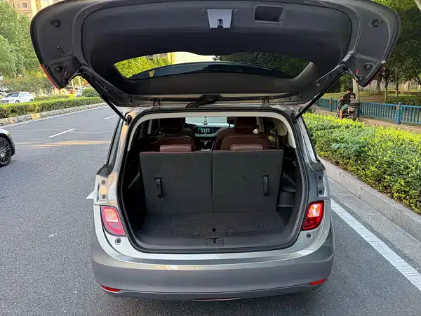 Buick GL6 2019