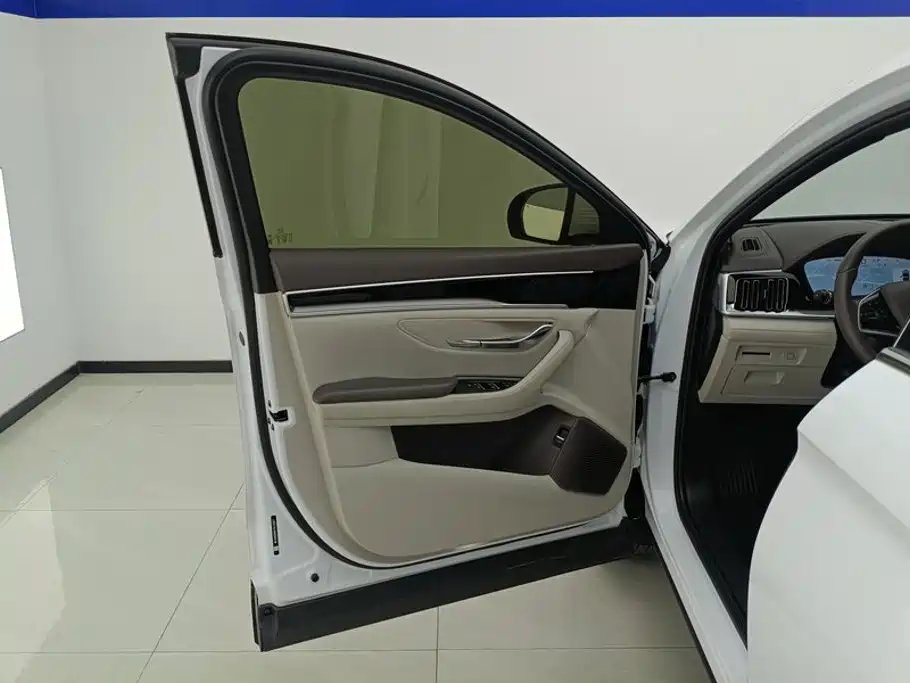 BYD Song PLUS New Energy 2025 — фото 7
