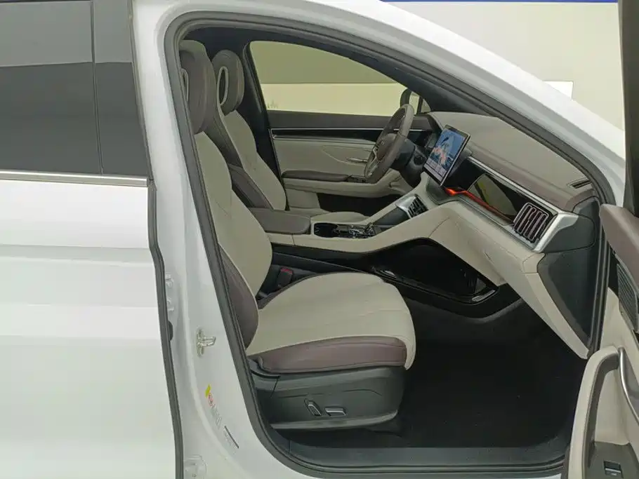 BYD Song PLUS New Energy 2025 — фото 8