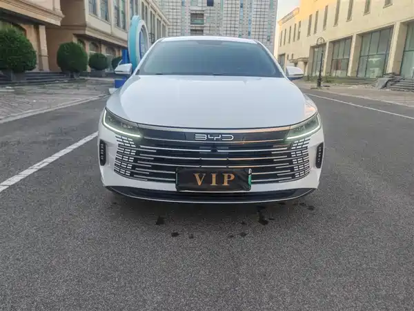 BYD Destroyer 05 2024