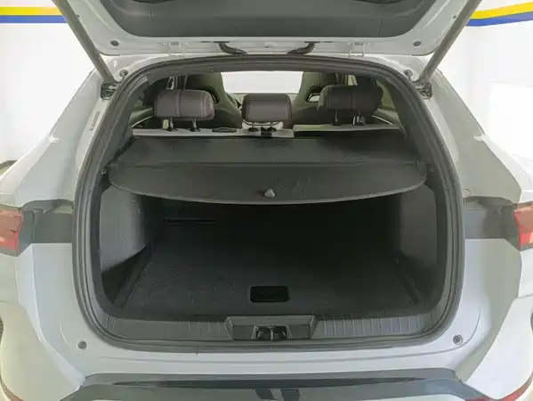 BYD Song PLUS New Energy 2025