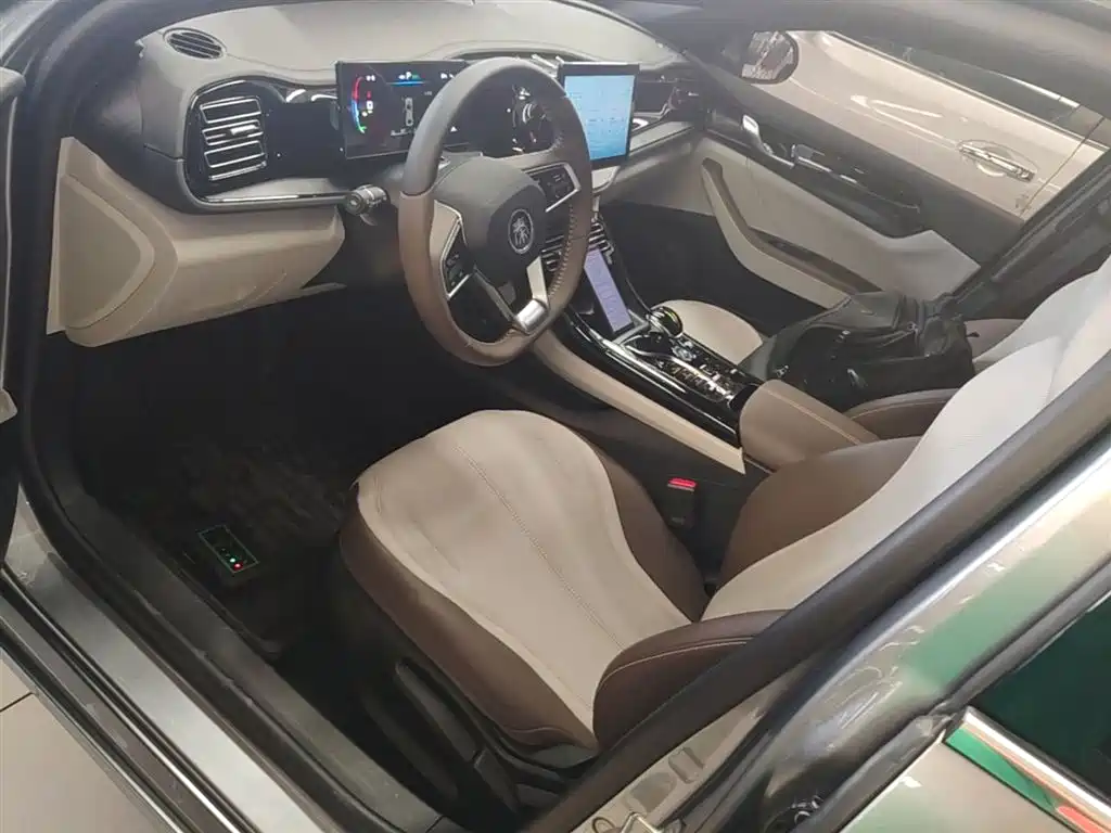 BYD Qin PLUS 2024 — фото 15