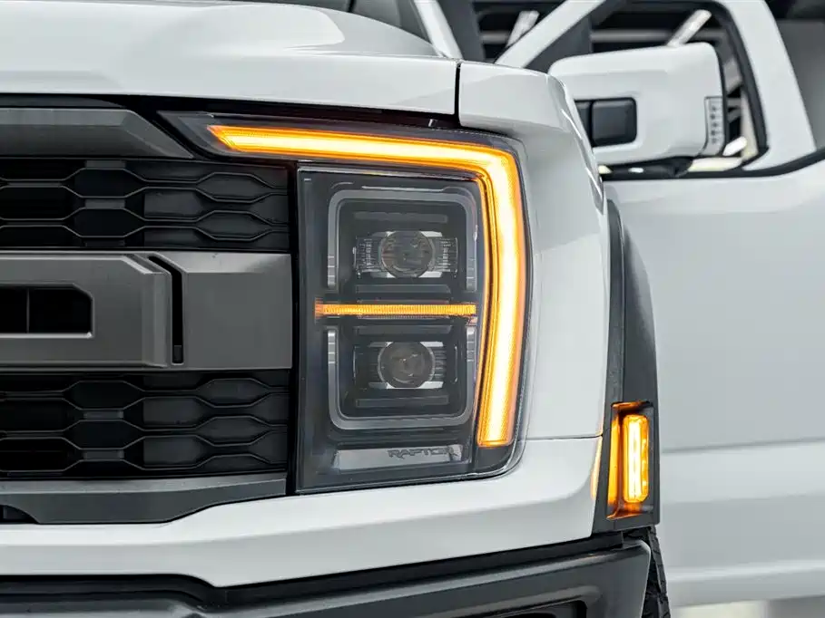 Ford F-150 Raptor 2024 — фото 38
