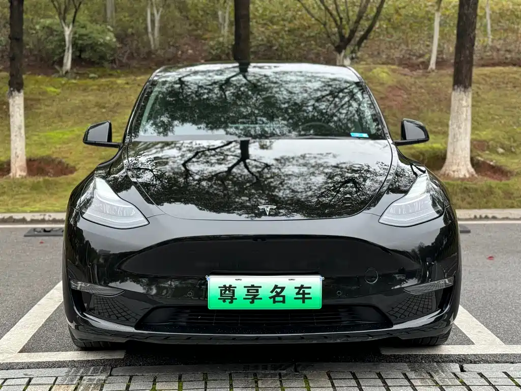 Tesla Model Y 2022 — фото 2