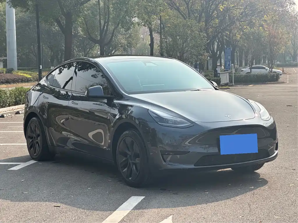 Tesla Model Y 2025 — фото 1