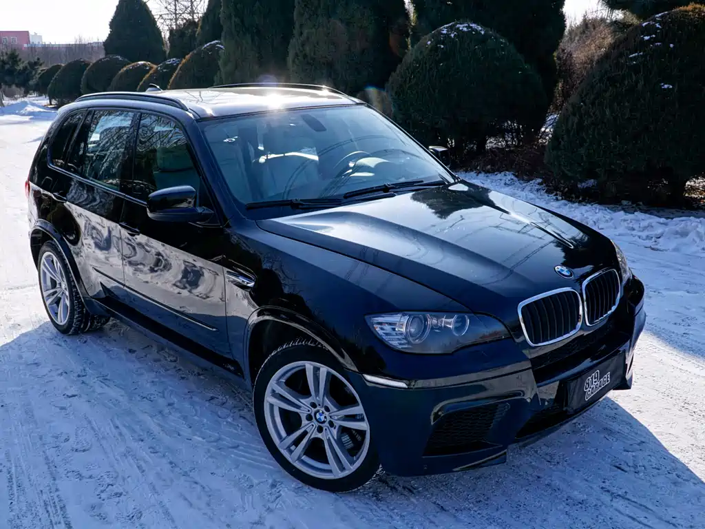 BMW X5 M 2011 — фото 4