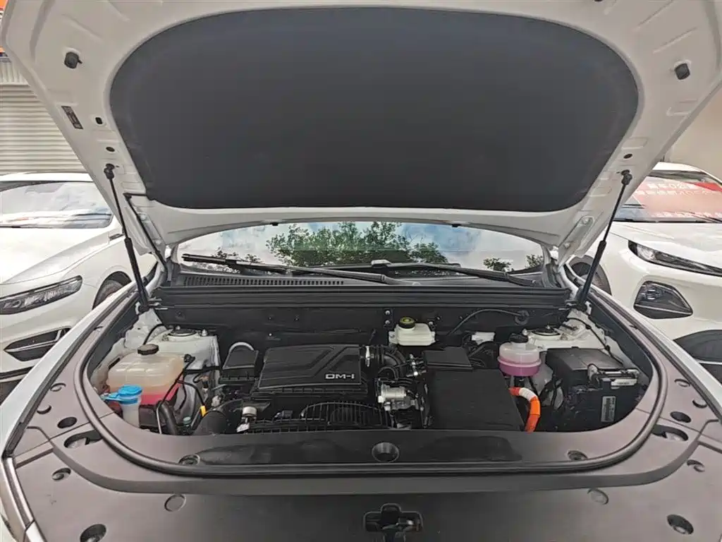 BYD Pro New Energy 2024 — фото 20