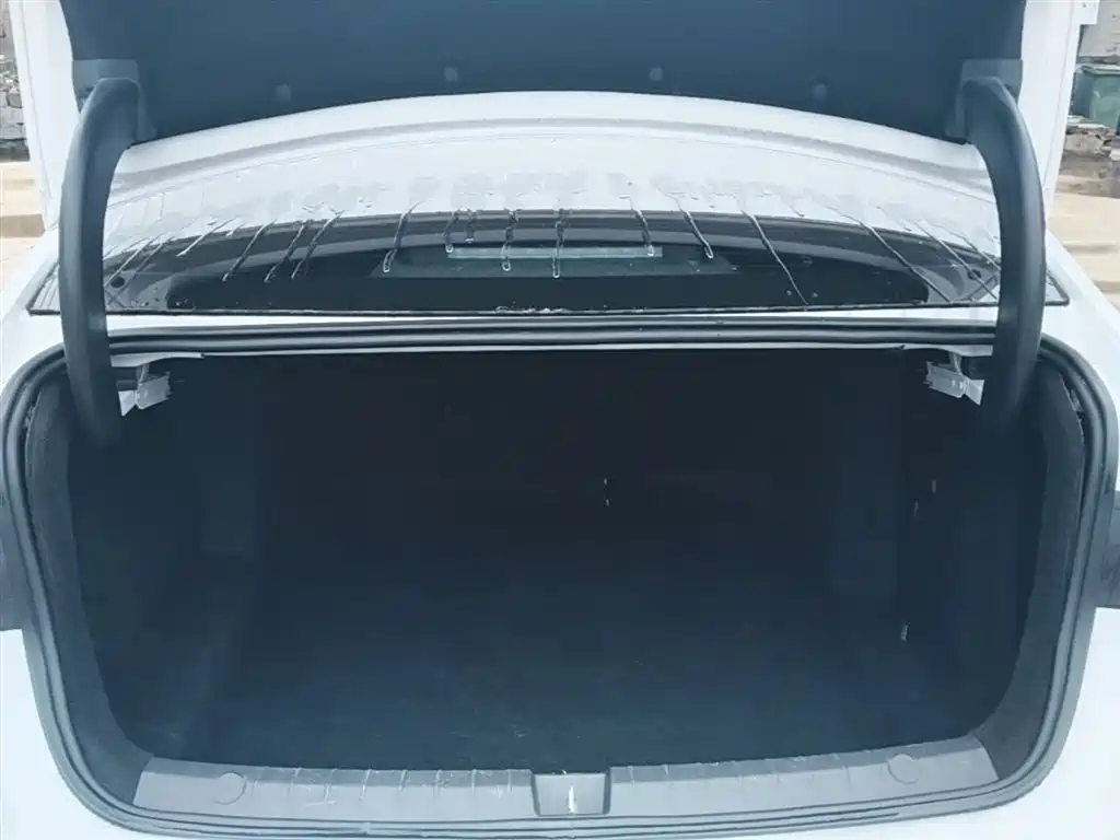 BYD Qin PLUS 2025 — фото 19