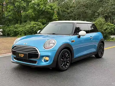 MINI MINI 2016