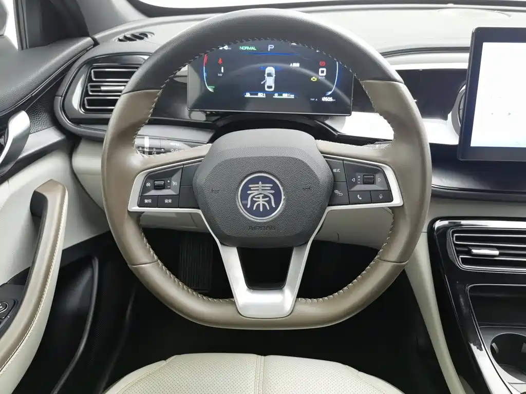 BYD Qin PLUS 2024 — фото 11