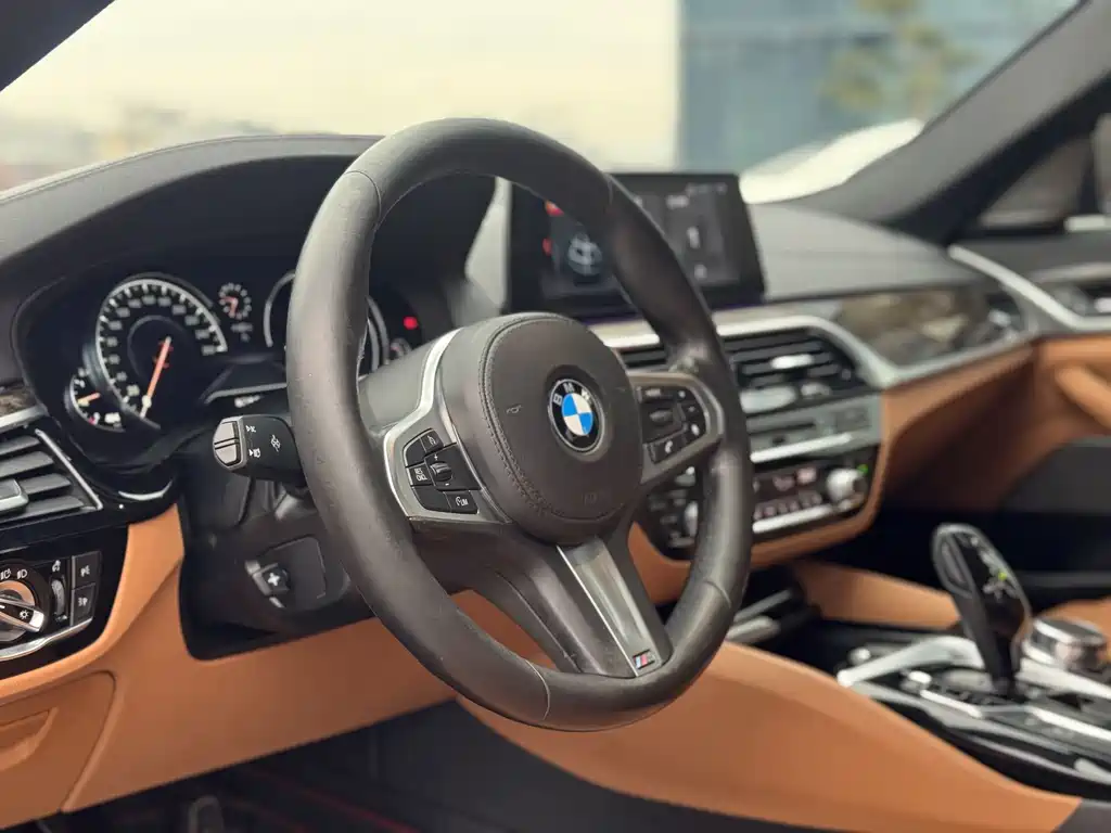 BMW 5 Series 2017 — фото 10