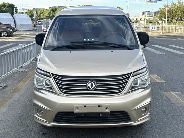 Dongfeng Lingzhi 2019