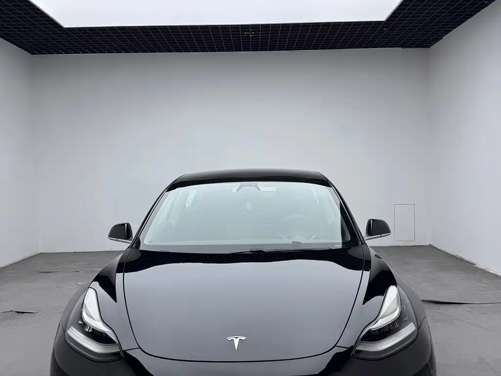 Tesla Model 3 2020 — фото 1