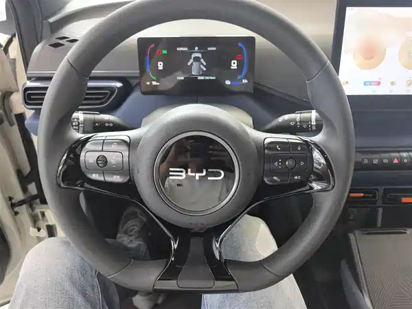 BYD Seagull 2025