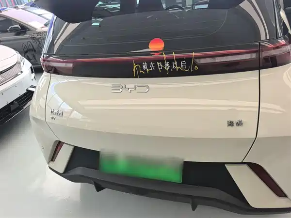 BYD Seagull 2025