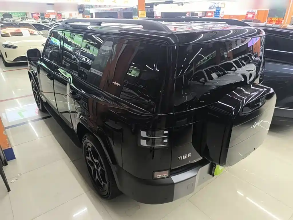 Fang Cheng Bao Ti7 2025