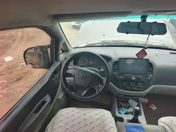 Dongfeng Lingzhi 2018