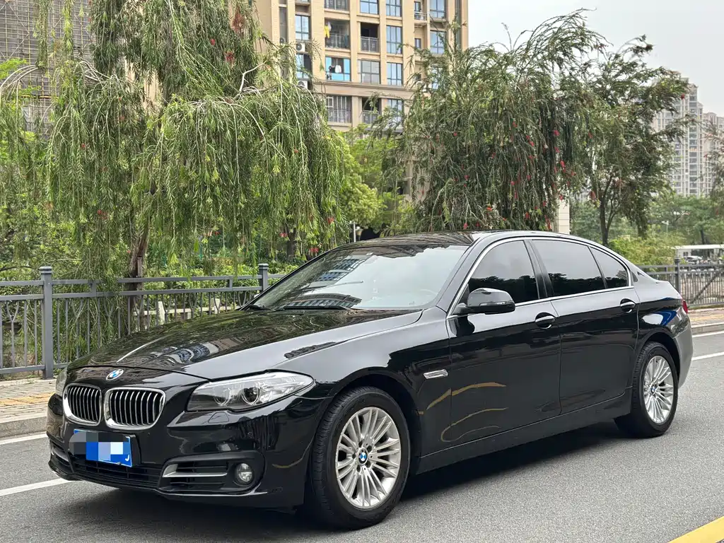 BMW 5 Series 2014 — фото 1