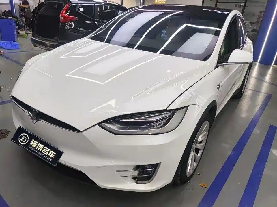 Tesla Model X 2019