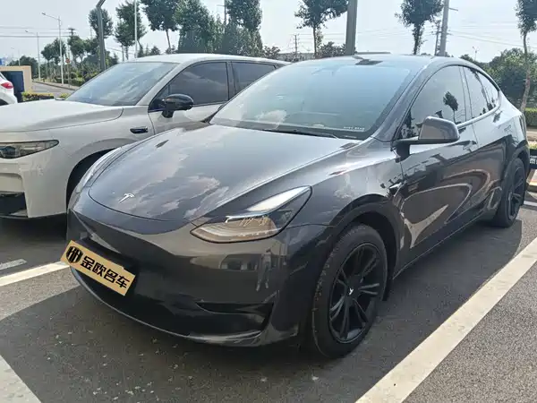 Tesla Model Y 2025