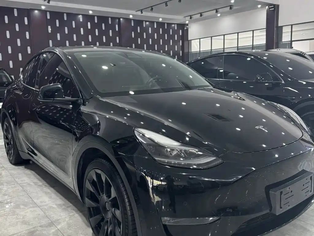Tesla Model Y 2021 — фото 2