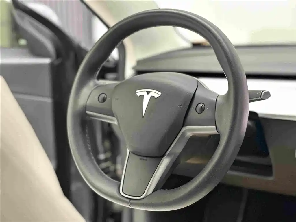 Tesla Model 3 2021 — фото 12