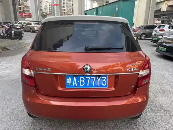 Skoda TECHART 2010