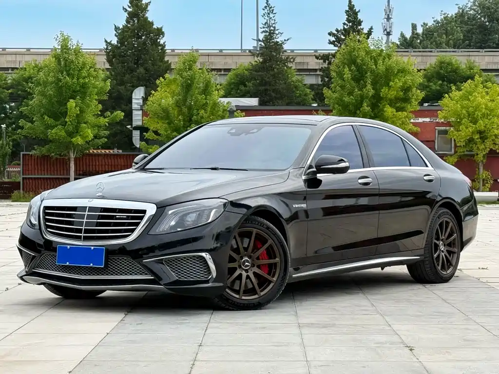 Mercedes-Benz S-Class AMG 2016 — фото 3