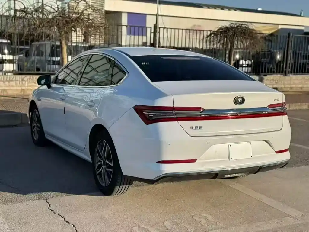 BYD Qin Pro NEV 2019 — фото 8
