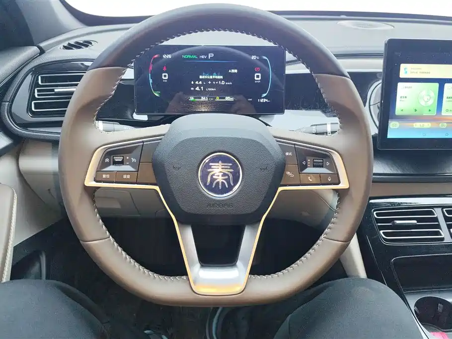 BYD Qin PLUS 2025 — фото 15