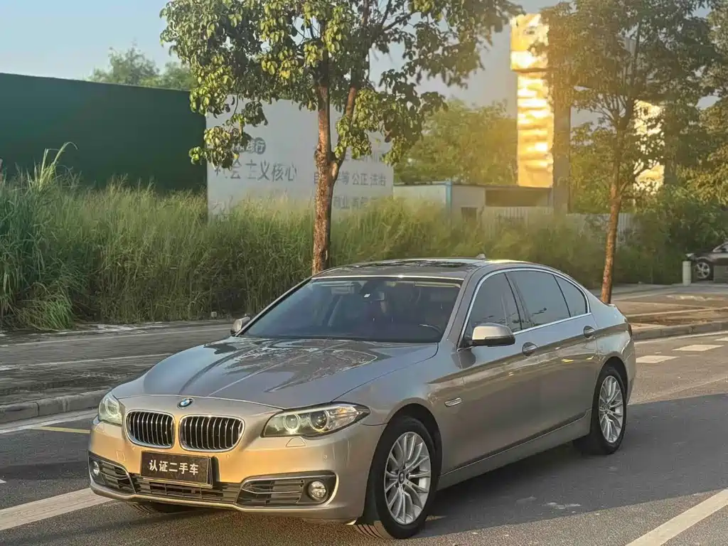 BMW 5 Series 2014