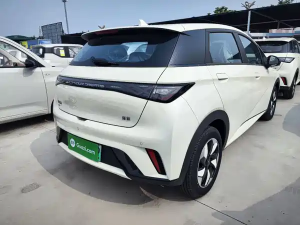 BYD Dolphin 2026
